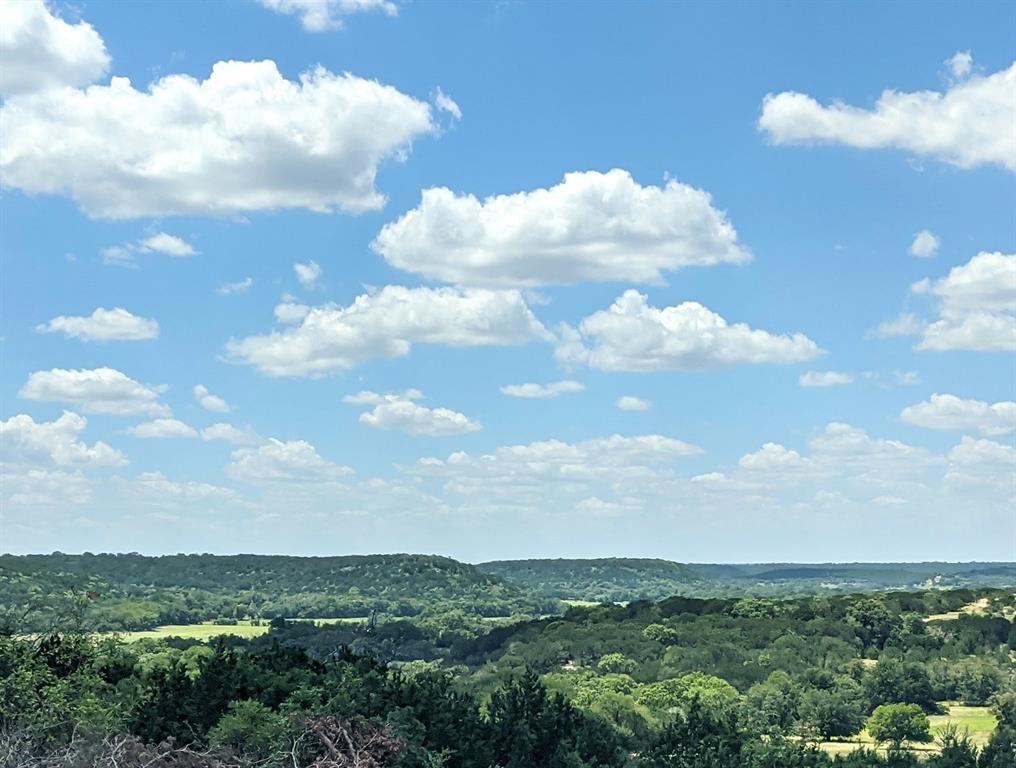 a view of a bunch of trees