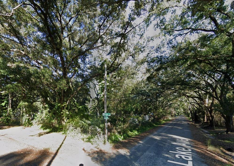 a view of a yard with plants and trees