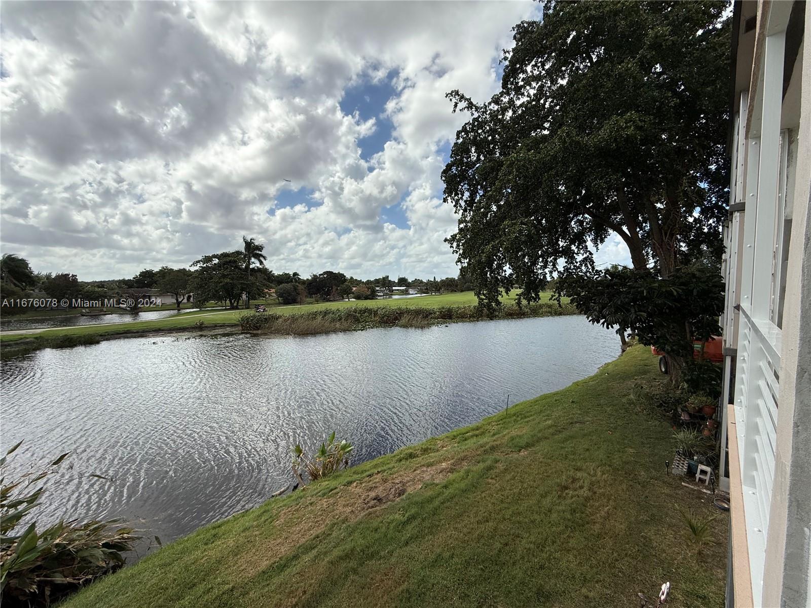 a view of a lake in between two large trees