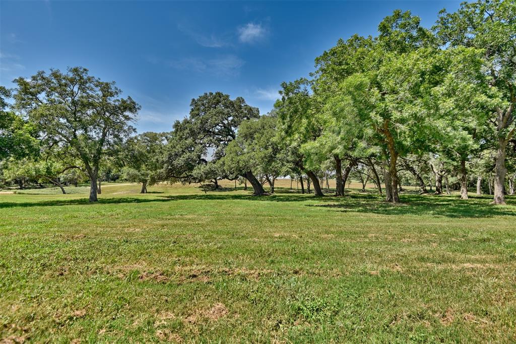 a view of field with trees