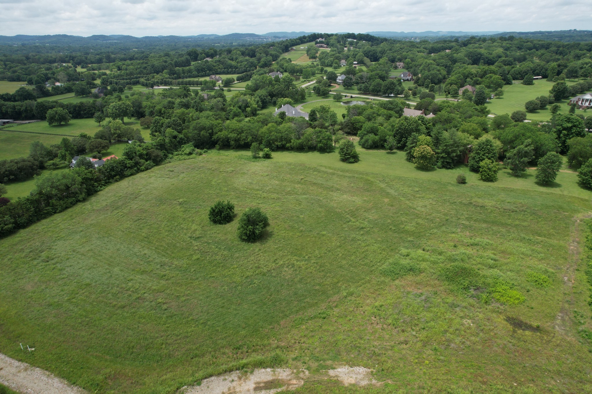 a view of a green field with lots of trees