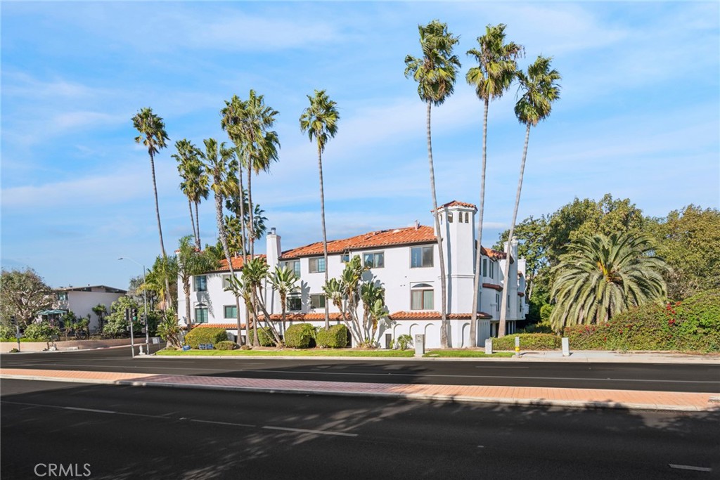 a view of a street with a palm tree