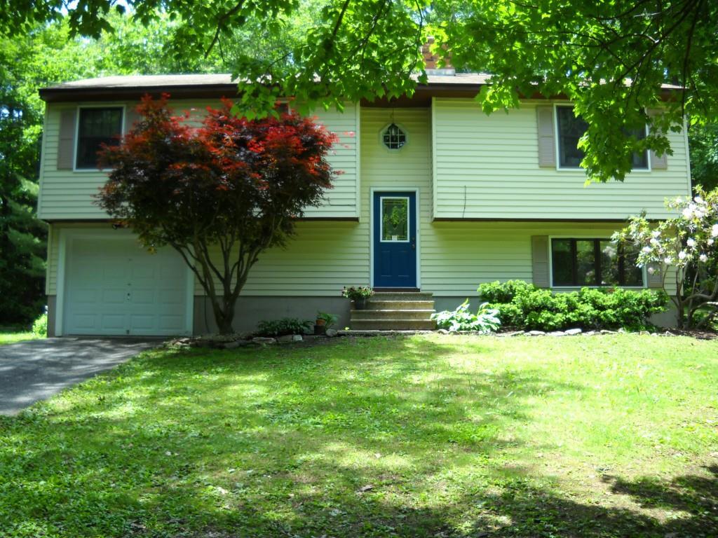 a front view of house with yard and green space