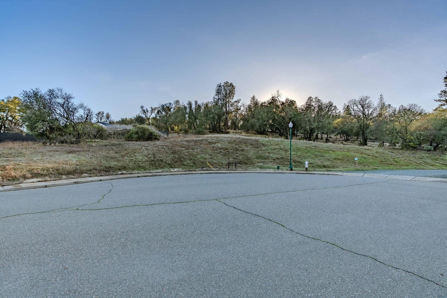 a view of a field with trees in background