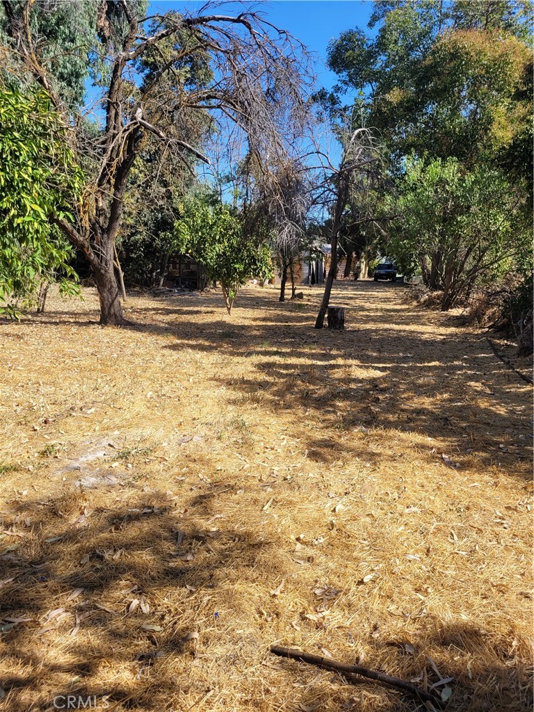 a view of road with trees