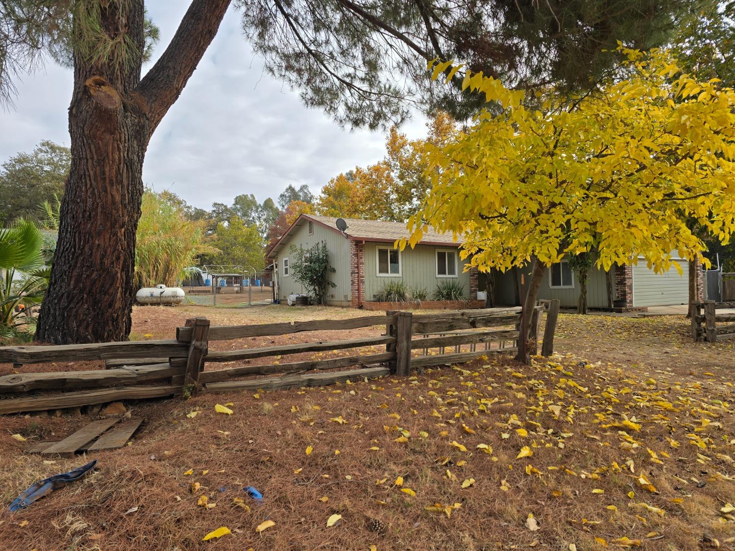 a park view with sitting space and trees