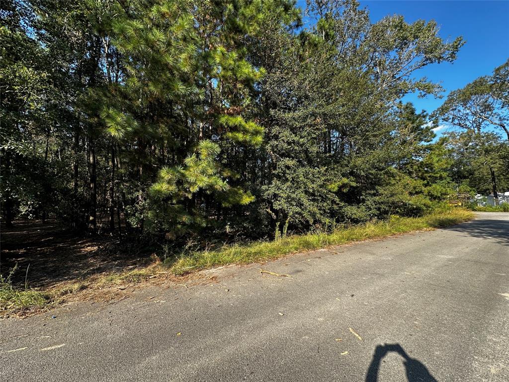 a view of a yard with a trees