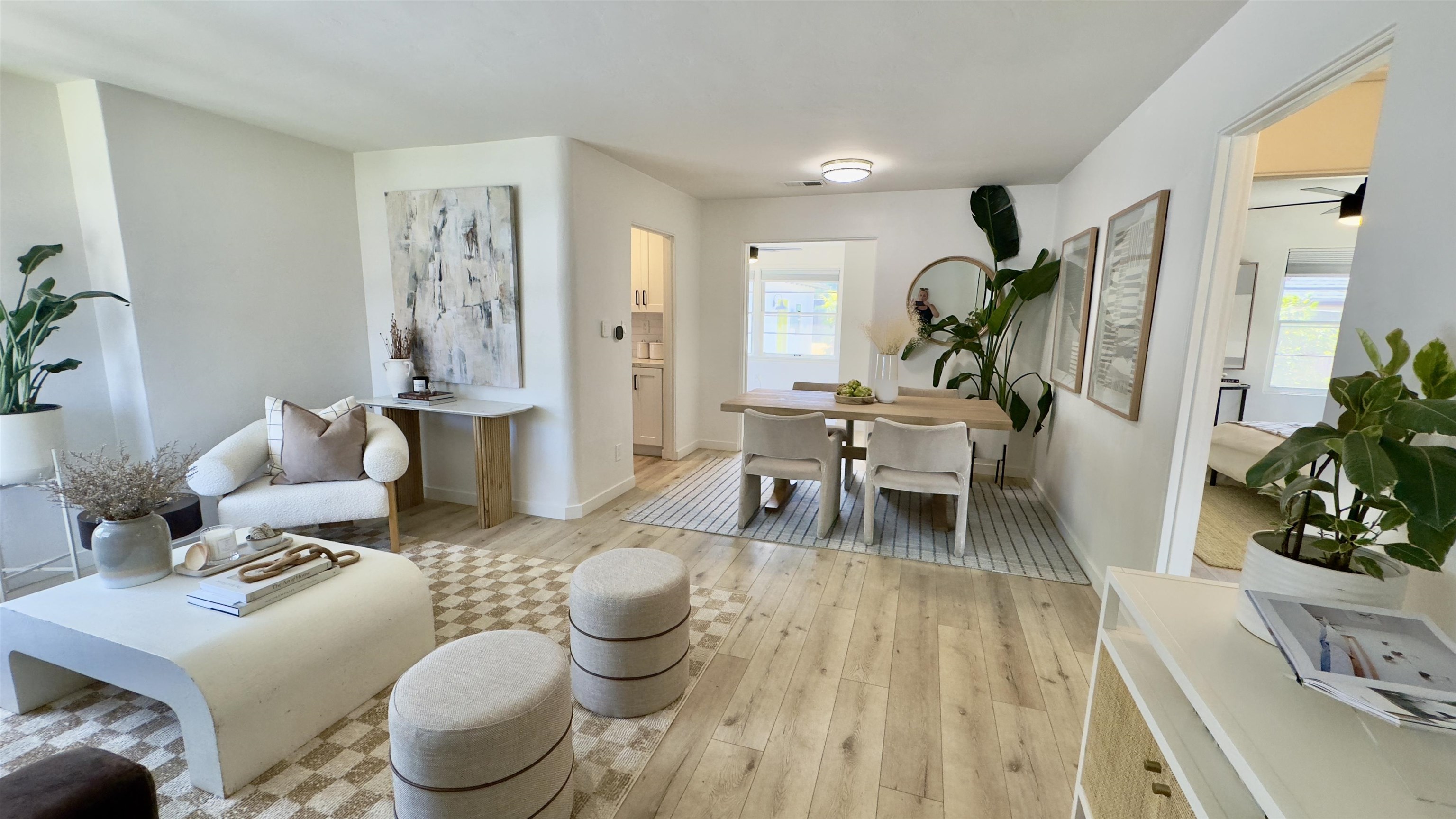 a living room with furniture and a potted plant