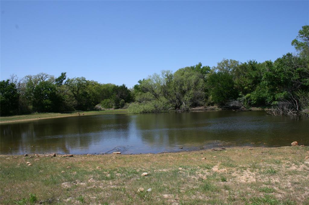 a view of a lake in middle of a forest