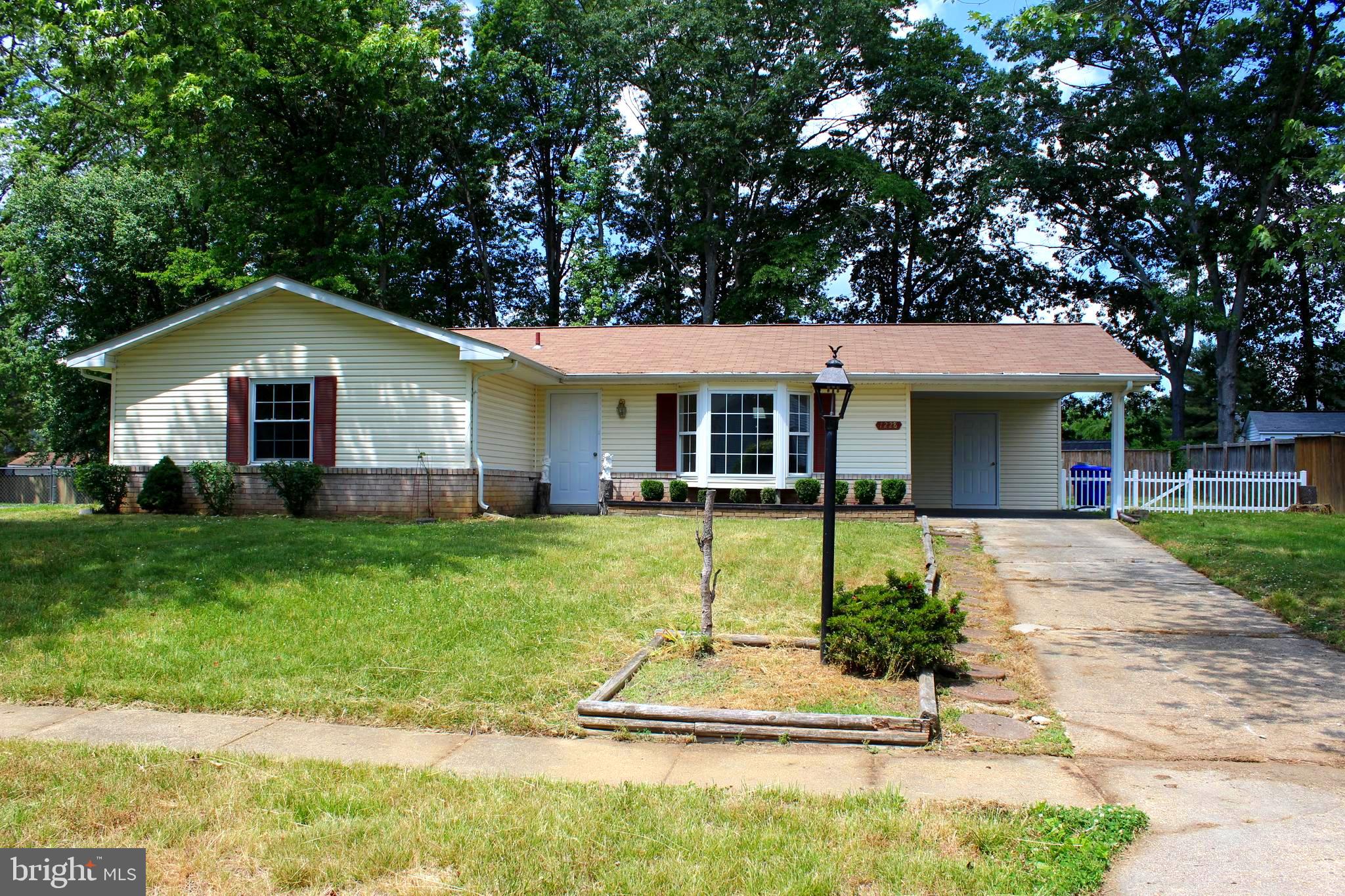 a view of a yard in front of a house with plants and large tree