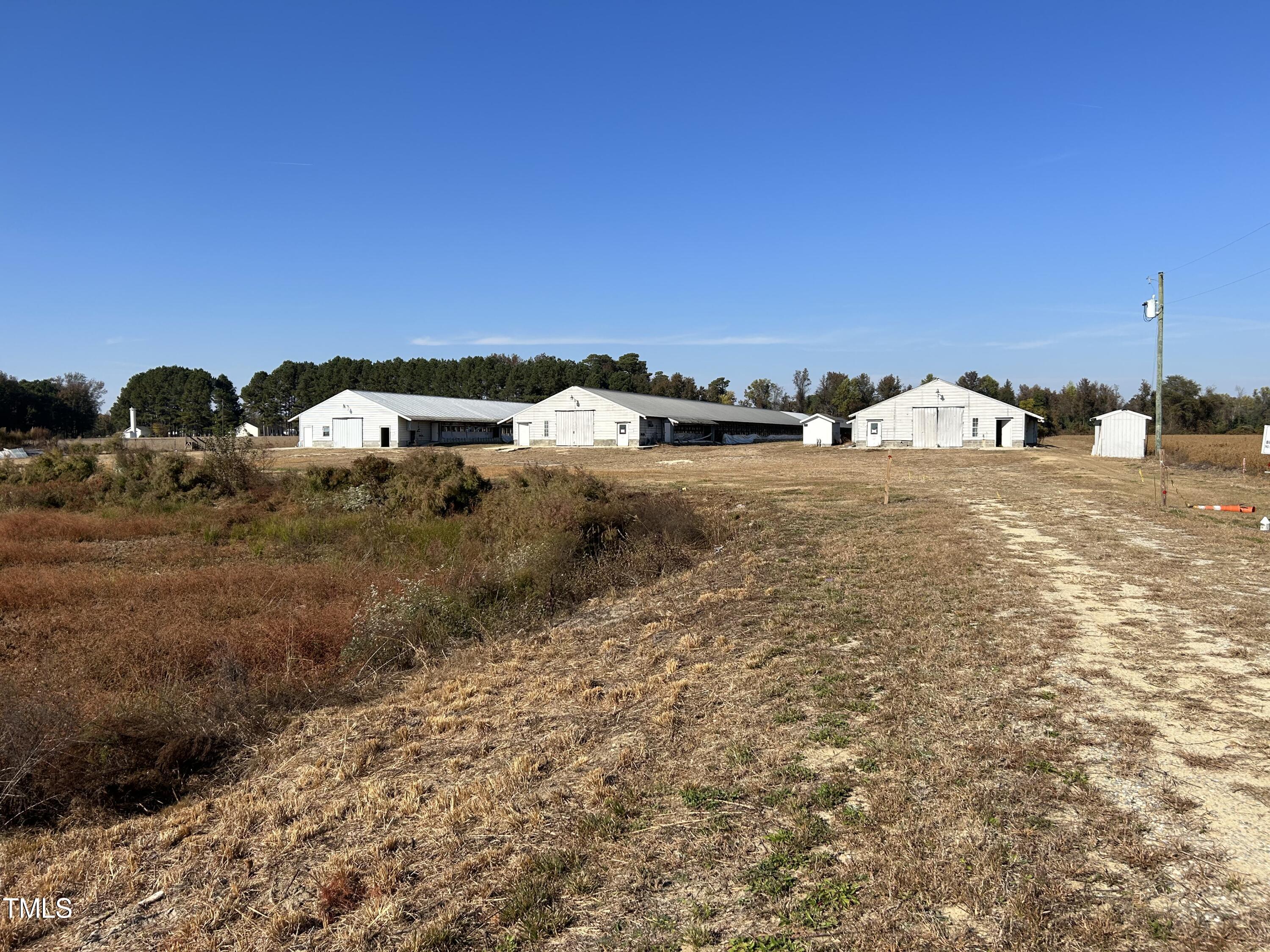 a view of a dry yard with wooden fence