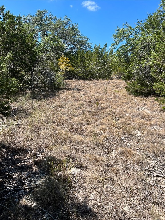 a view of a dry yard with trees in the background