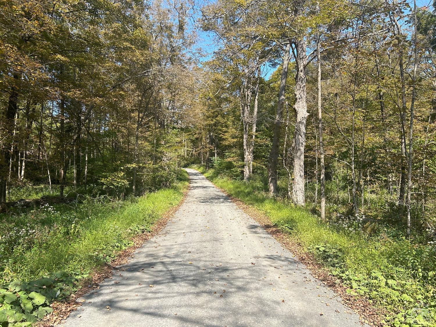 a view of a pathway both side of yard