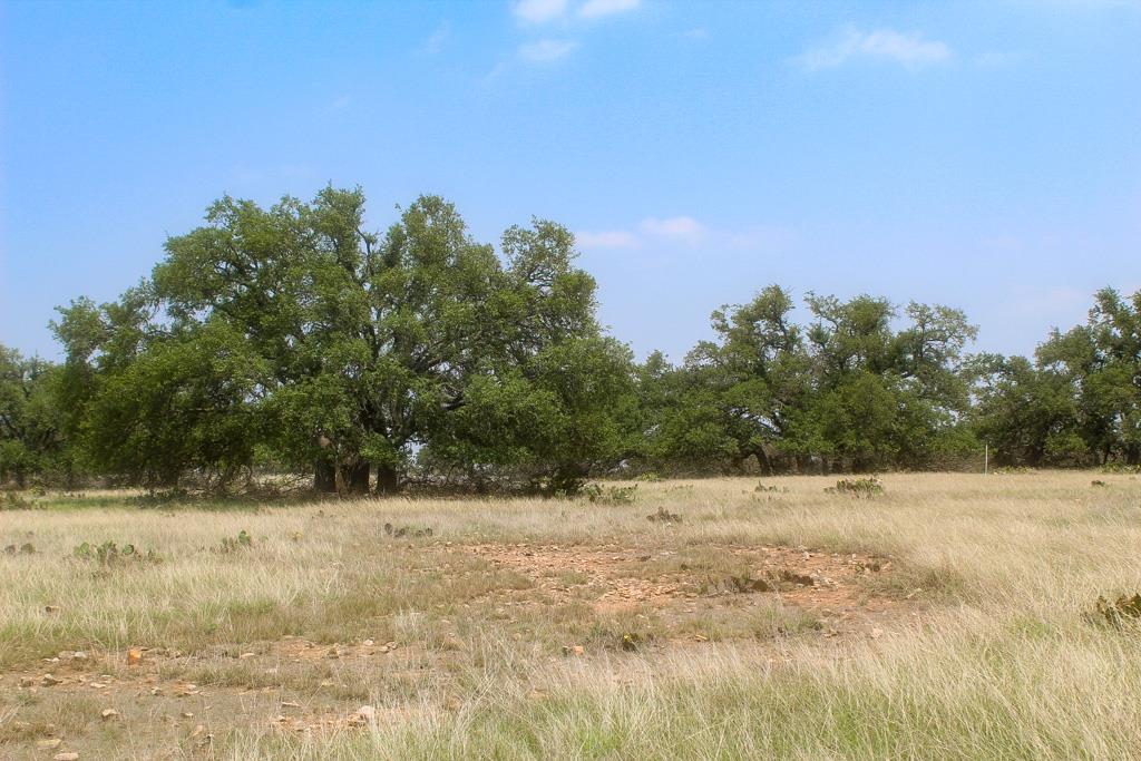 a view of mountain view with trees