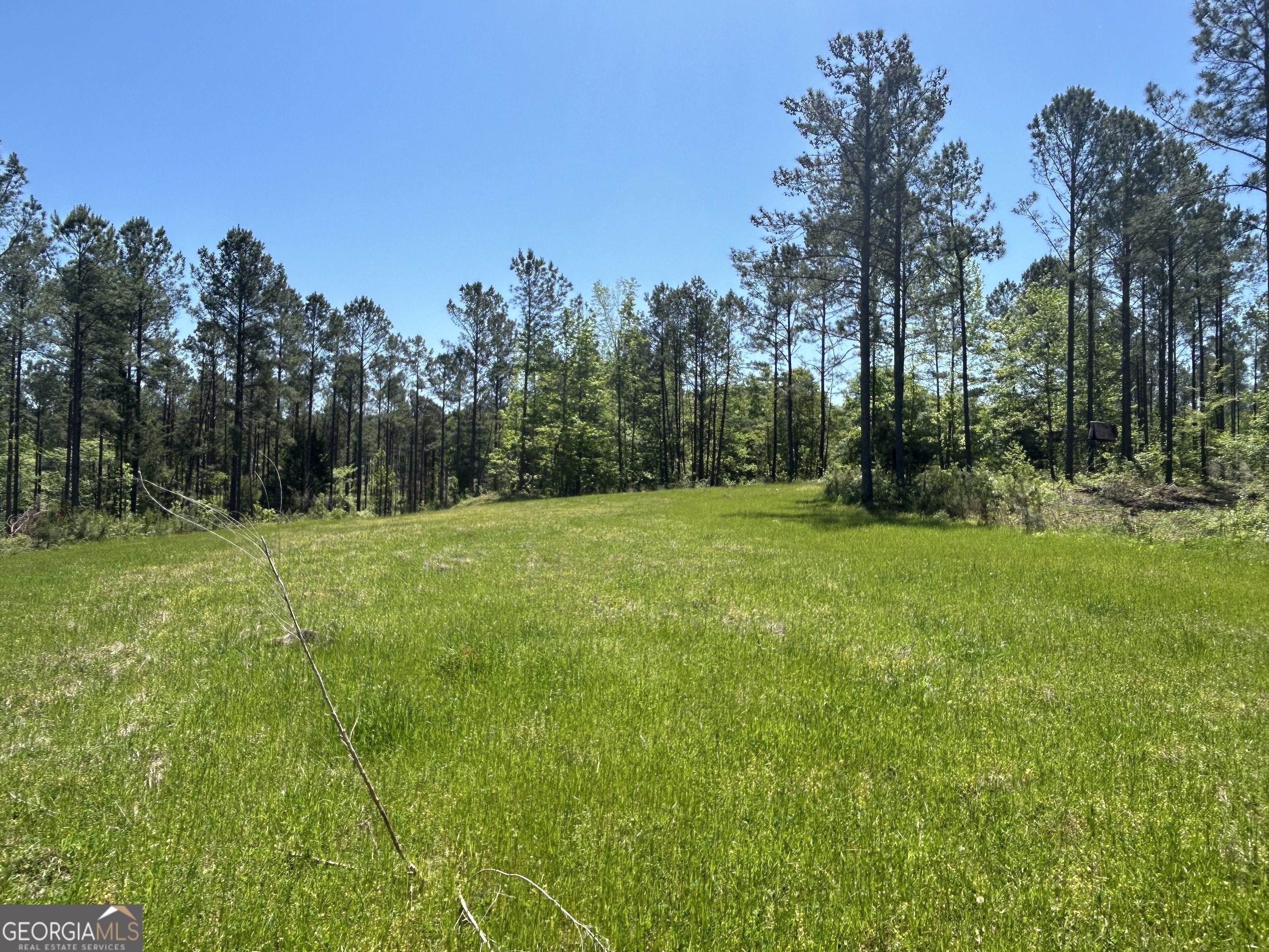 a view of green field with trees in the background