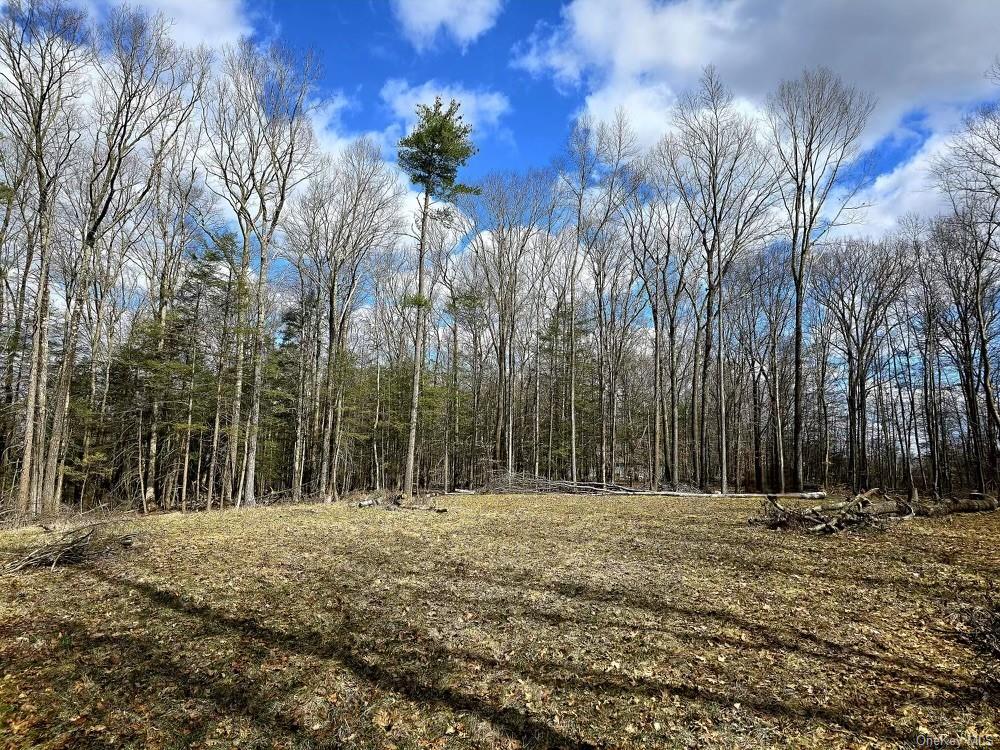 a row of trees with wooden fence