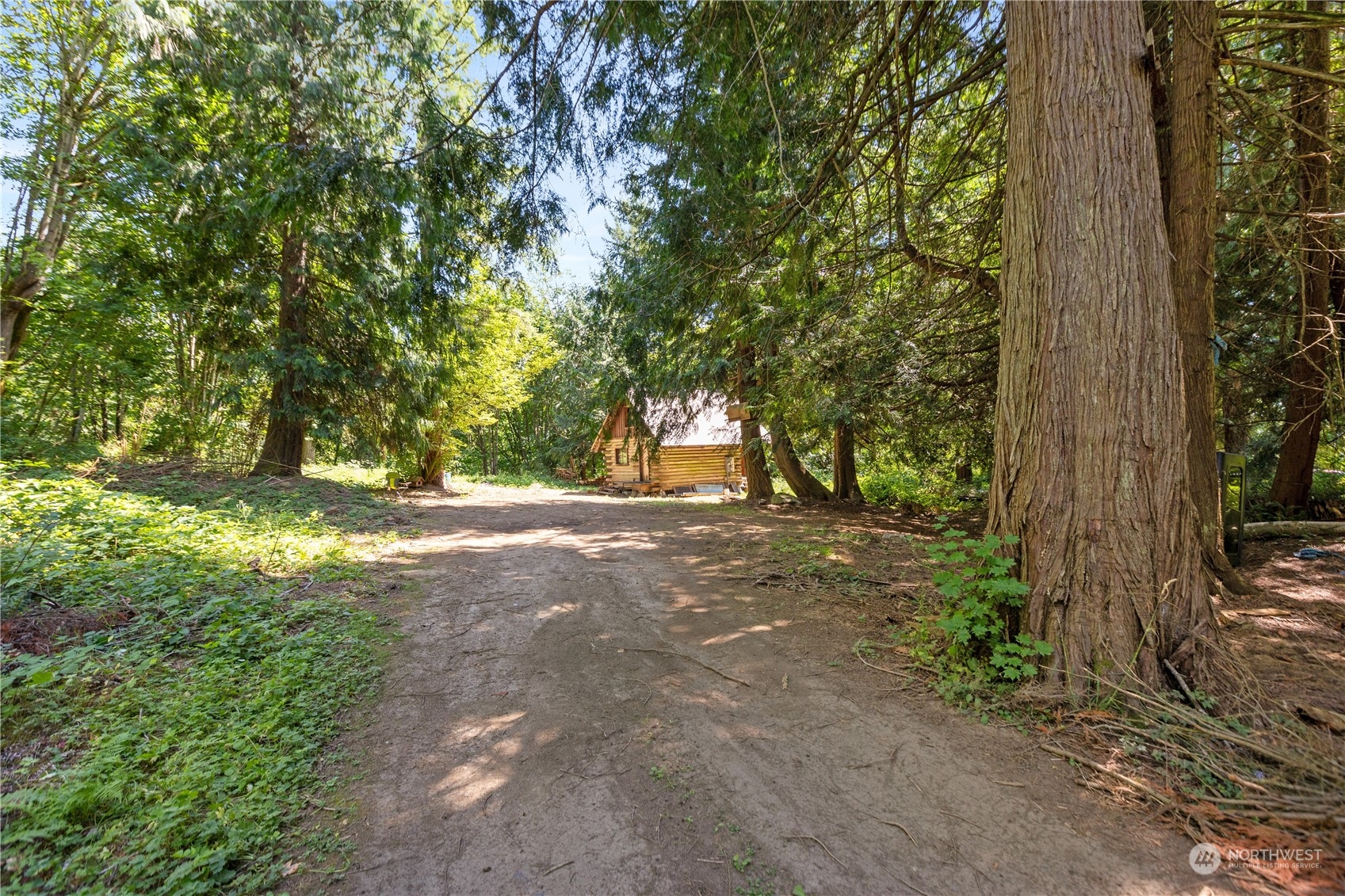 a view of outdoor space with trees