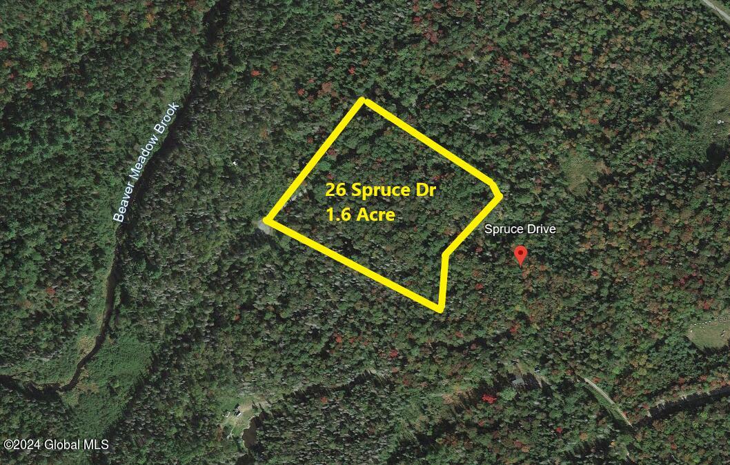 1.6 acre lot