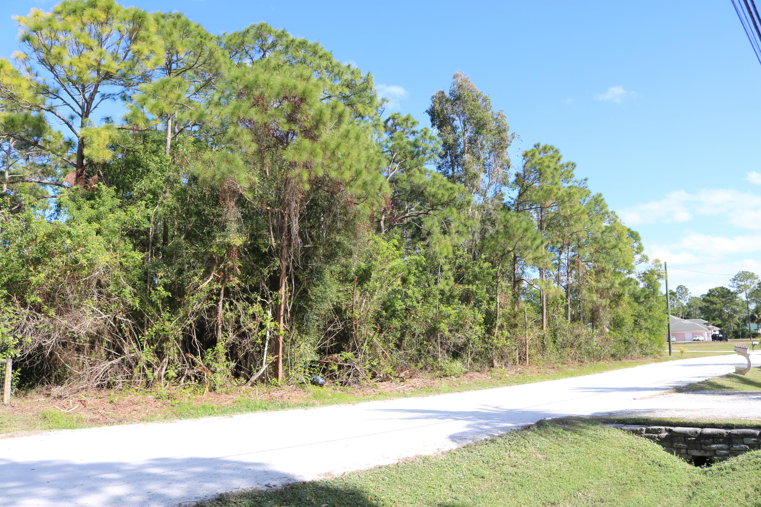 a view of a yard with an tree