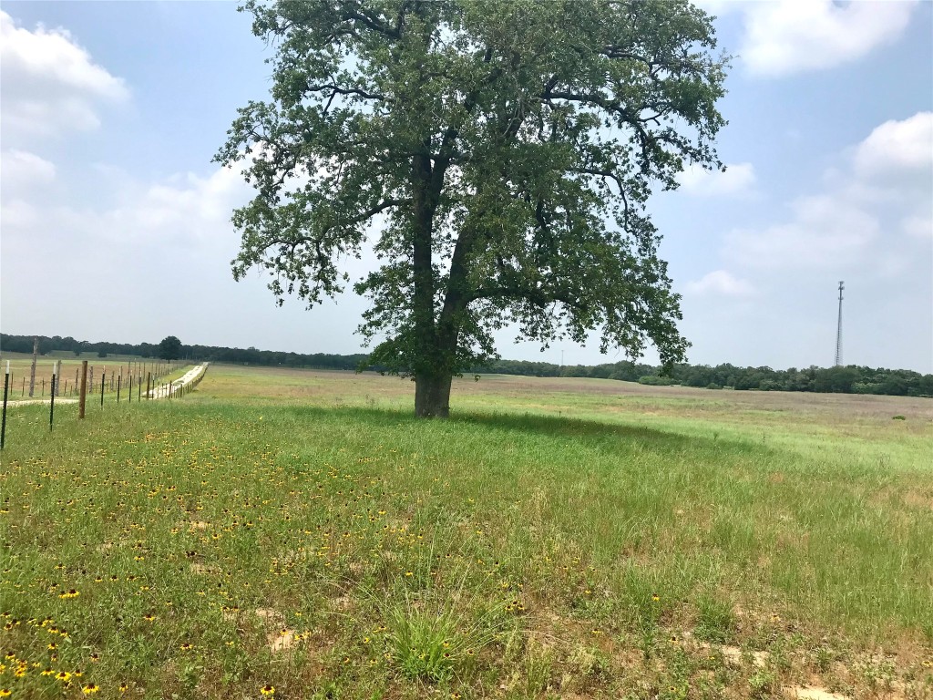 a view of yard with ocean and trees in the background