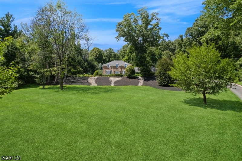 a garden view