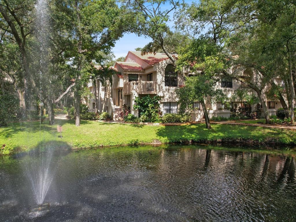 a front view of a house with a yard and large trees