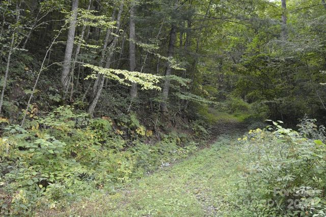 $45,000 | 0 Bedford Road | Ivy Township - Buncombe County