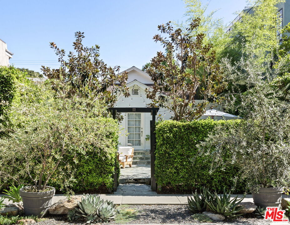 a view of a garden with plants