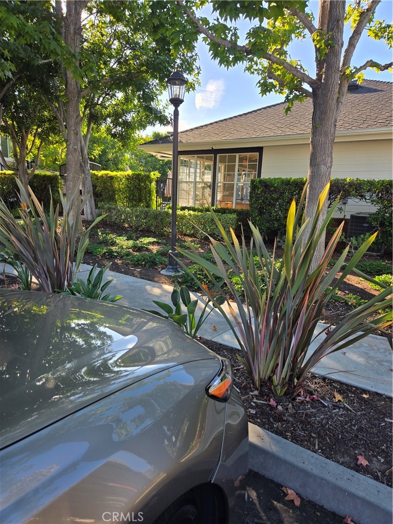 a view of a house with a tree in front