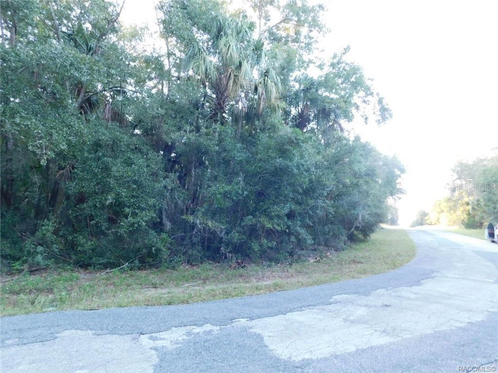 a view of a yard with a tree