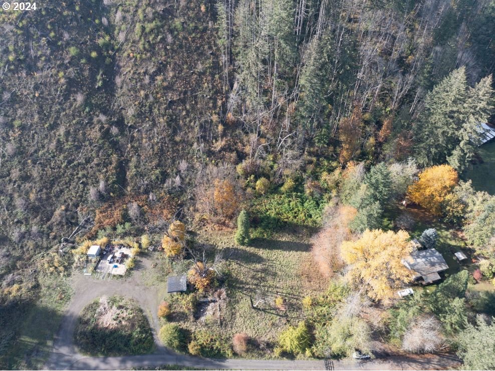 a view of a yard with a tree