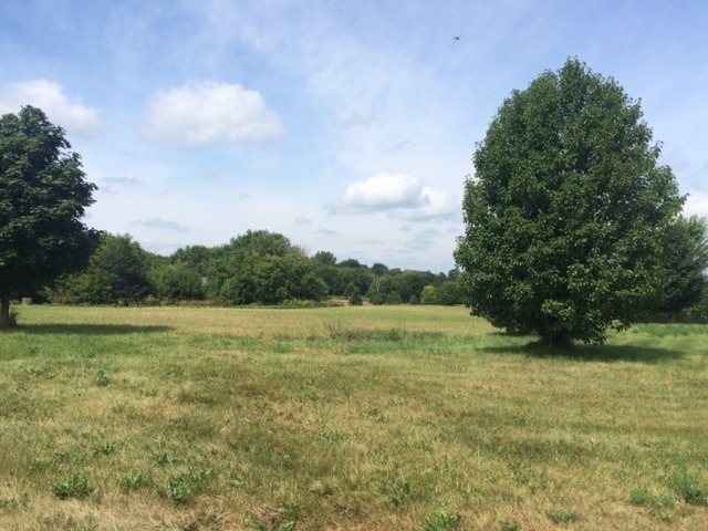 a view of an outdoor space and yard