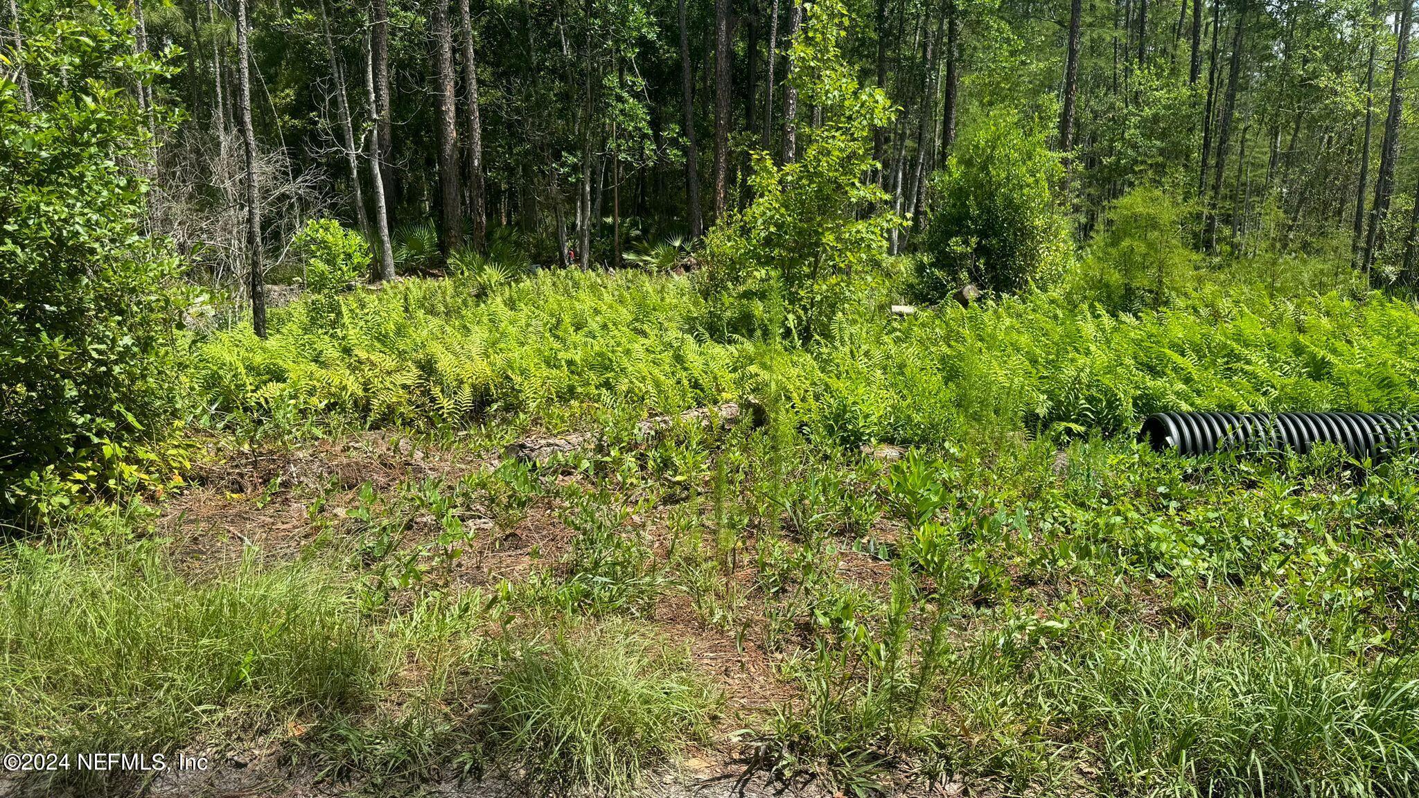 a view of a garden