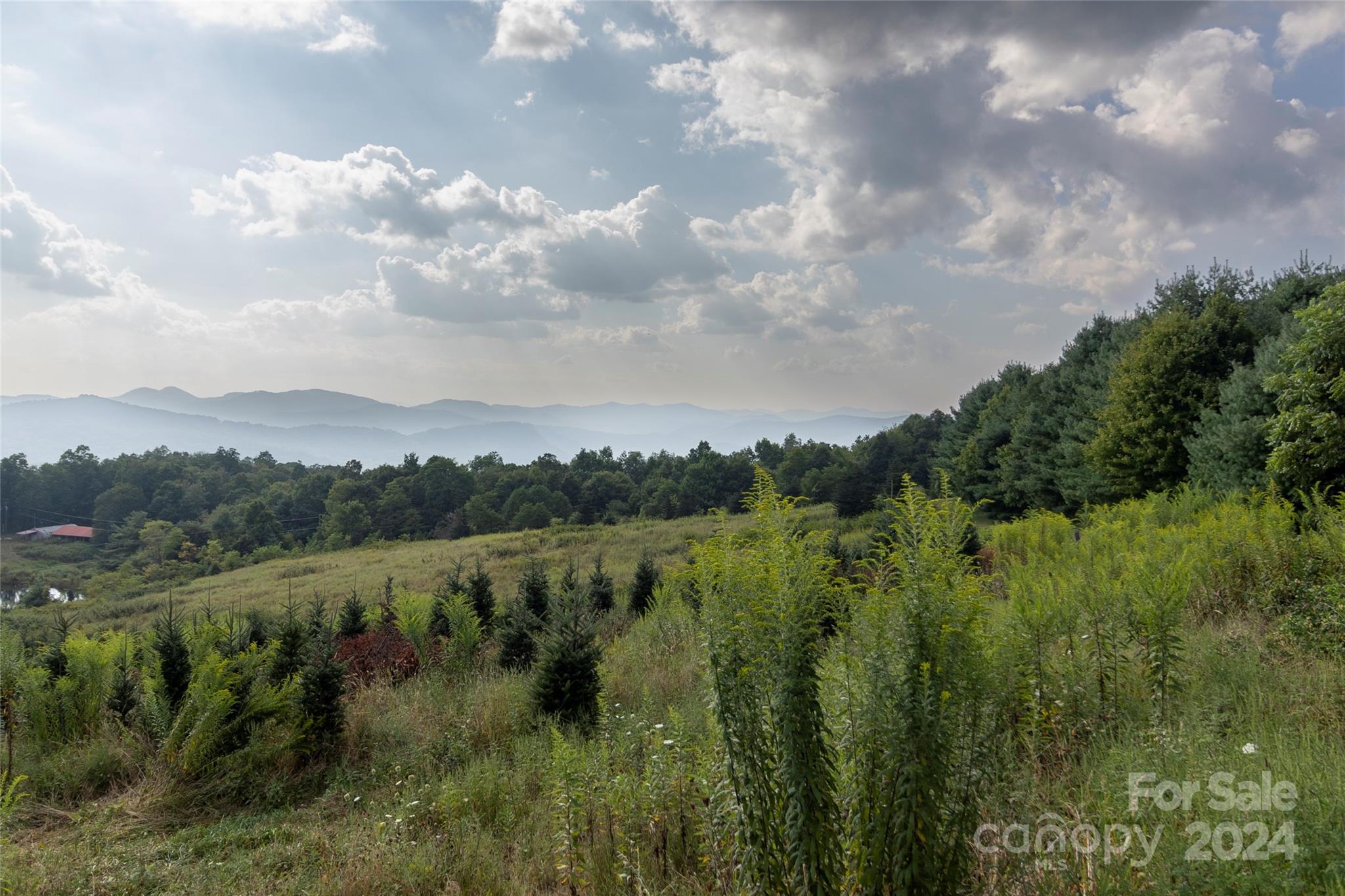 a view of a green field with lots of bushes