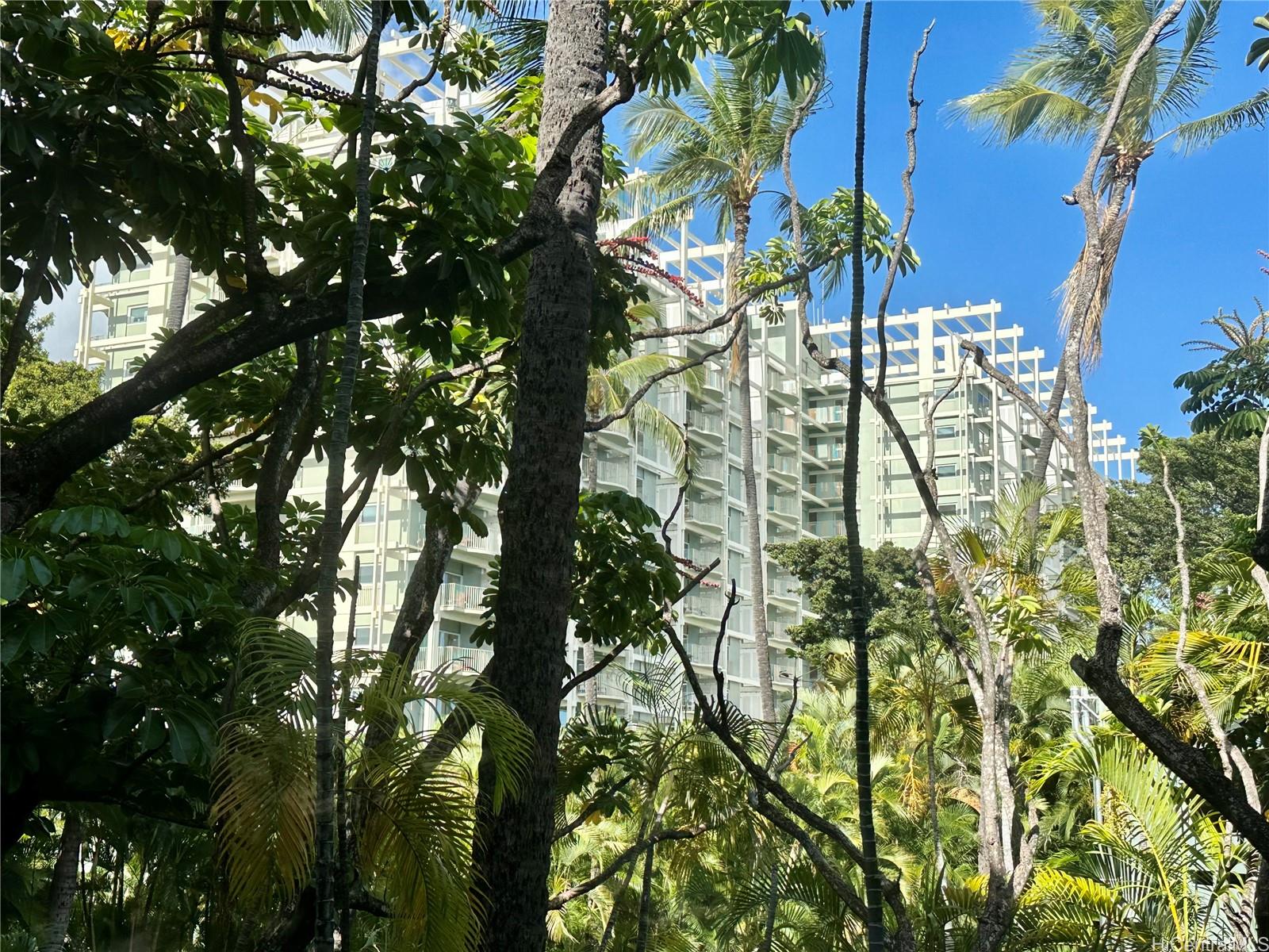 a view of flowers in the garden