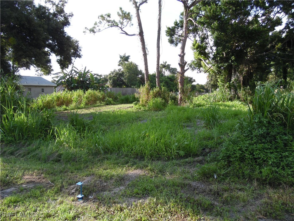 a view of outdoor space and yard