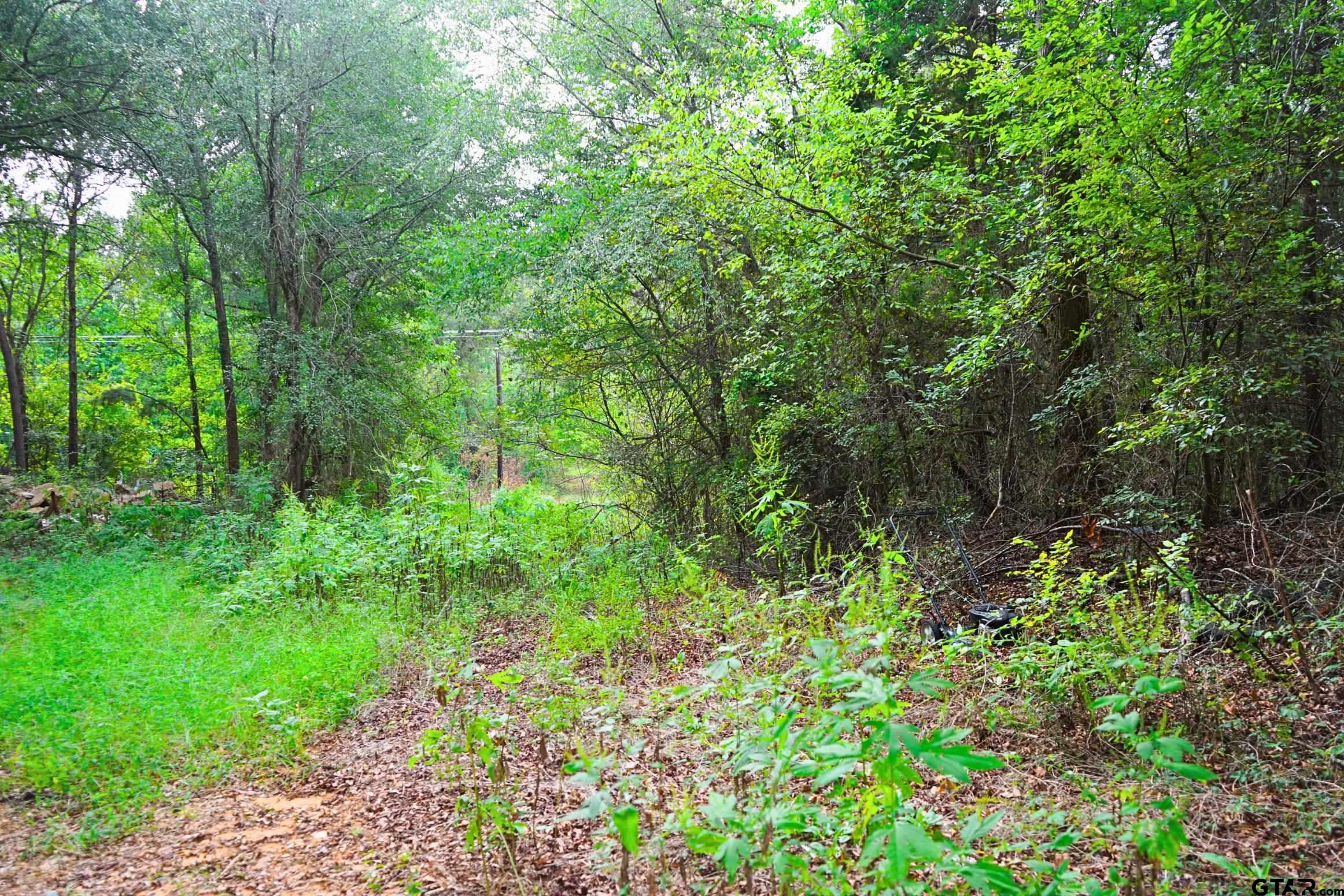 a view of a garden