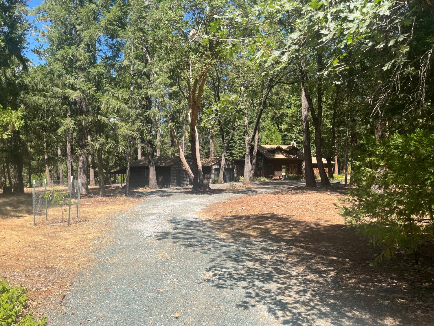 a view of a outdoor space with large trees