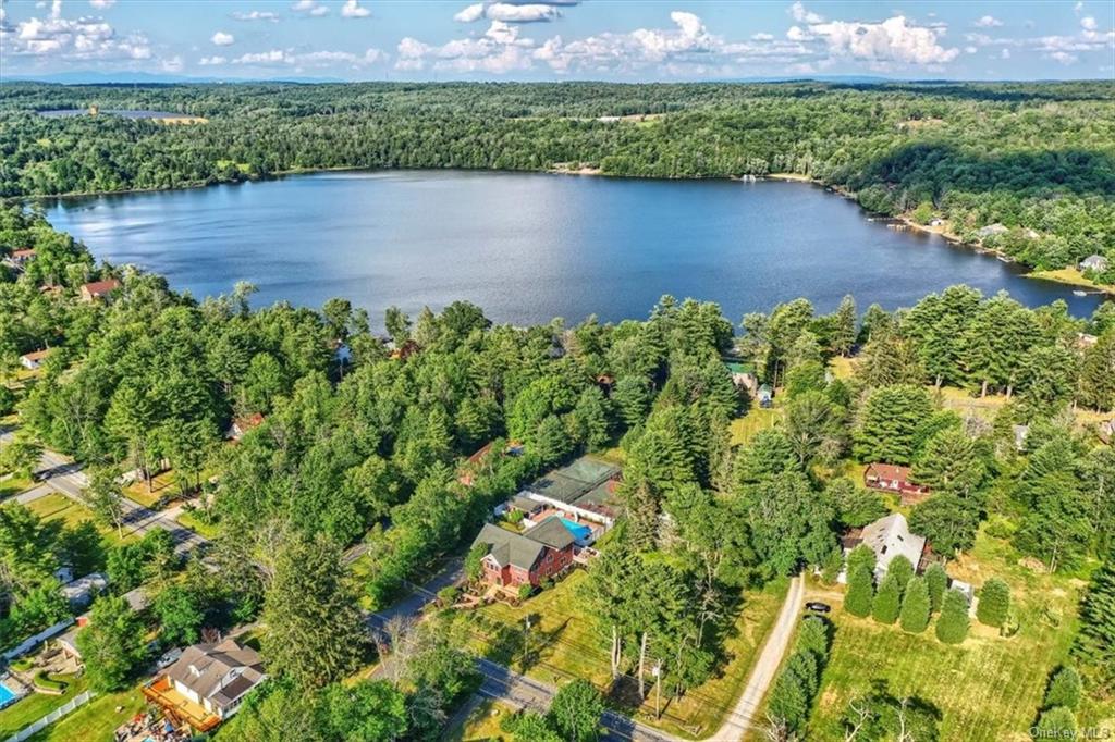 a view of a garden with a lake