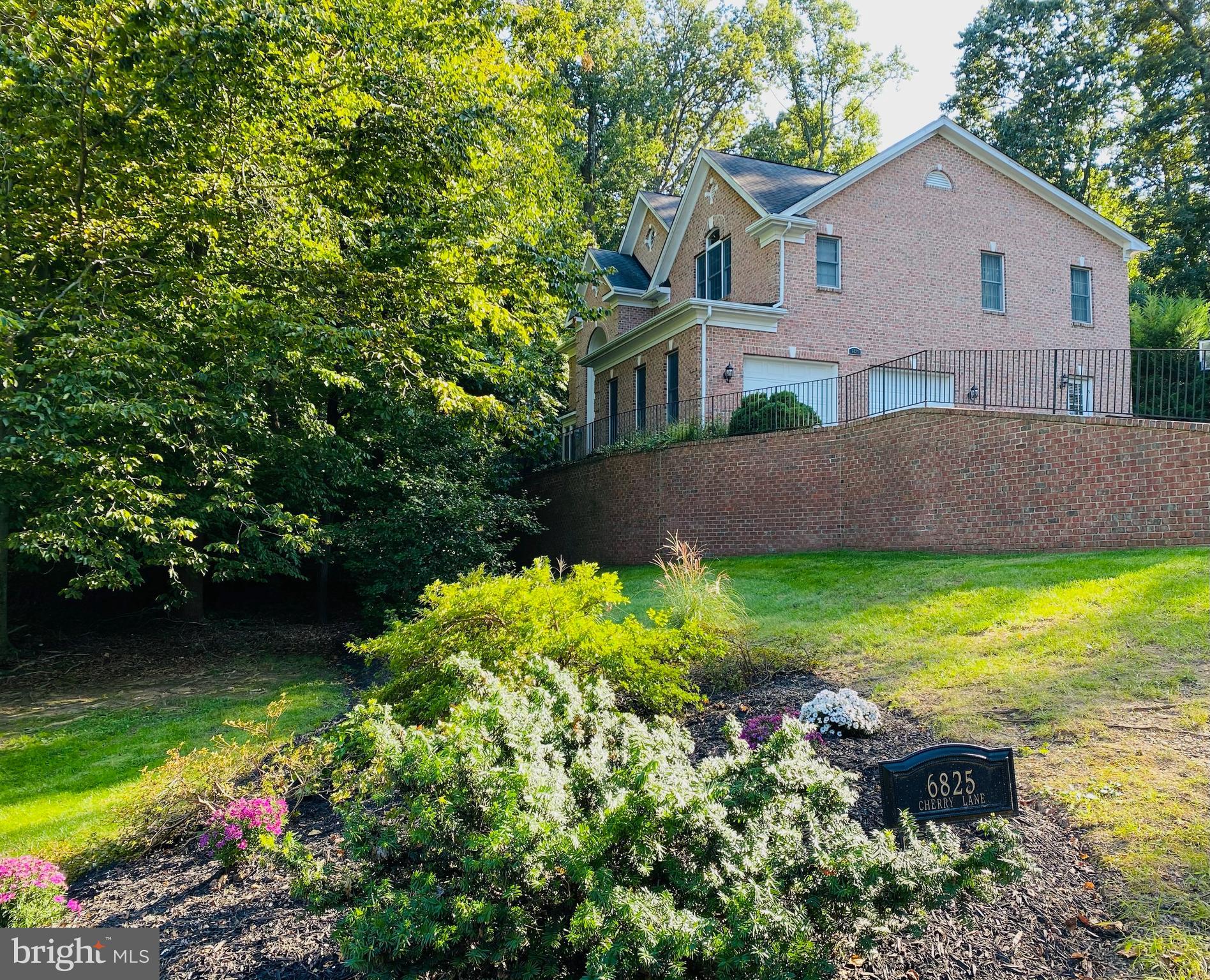 a front view of a house with a yard and a large tree