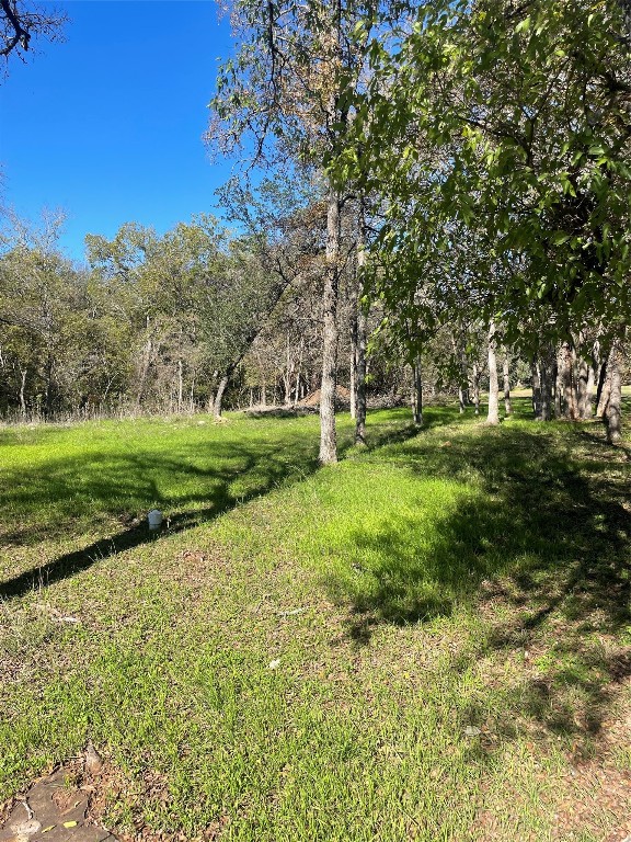 a view of a grassy field with trees