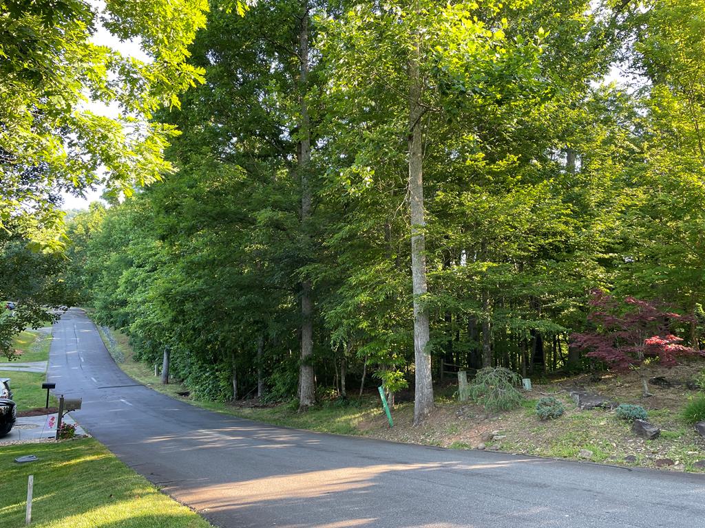 a view of a yard