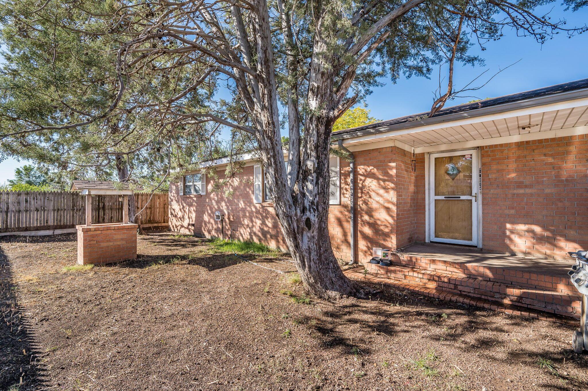 a view of a backyard with large tree