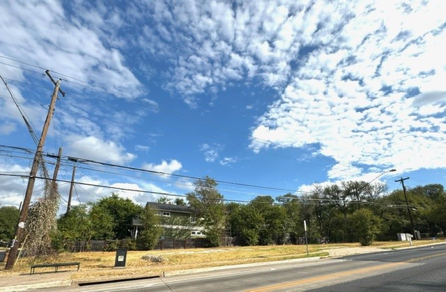 a view of a yard