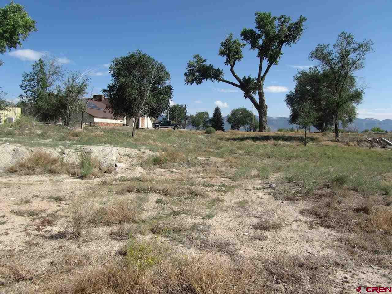 a view of a yard with a tree