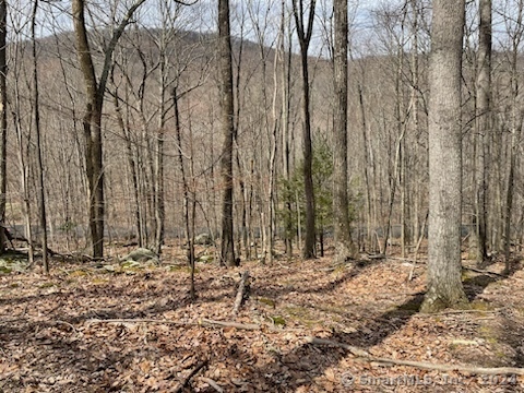 a view of wooden fence in a yard