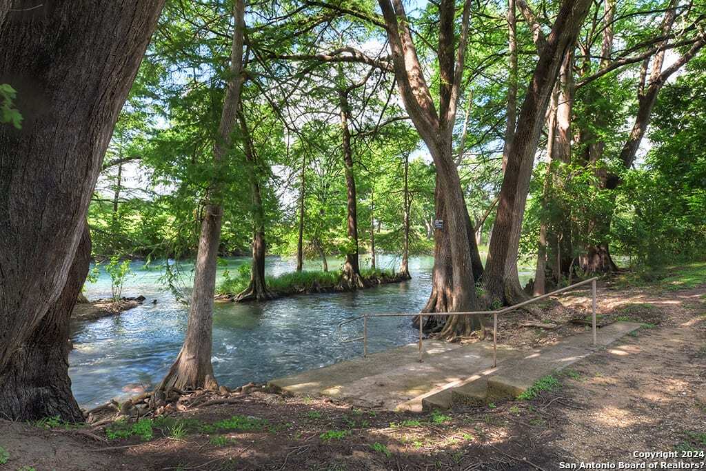 a view of a tree in a park