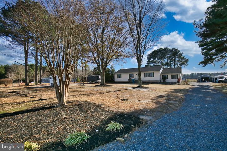 a view of a yard with a large tree