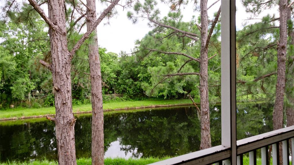 a view of a yard with a tree in the background