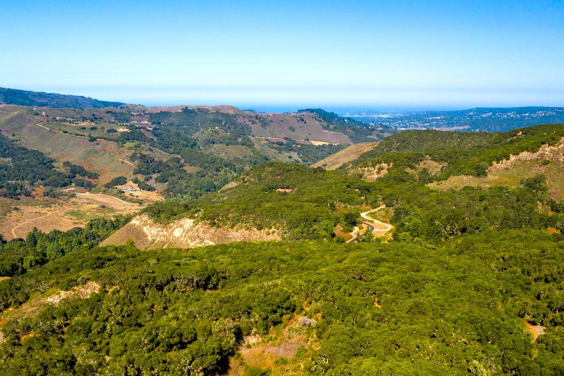 a view of city and ocean